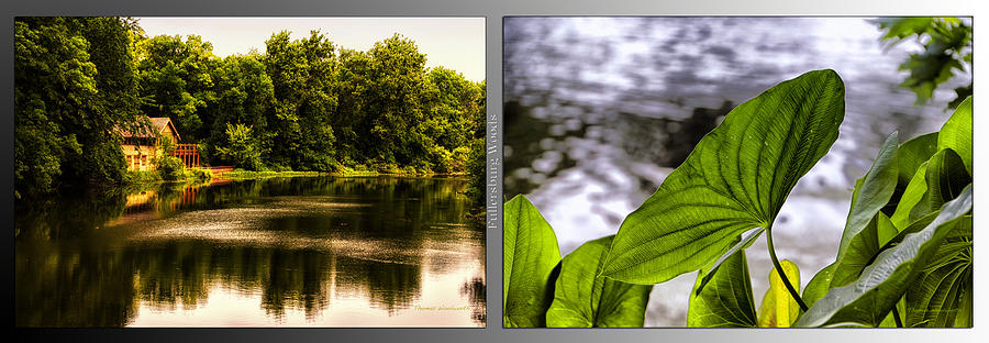 Nature Center 01 Water Leaf Fullersburg Woods 2 Panel Photograph by Thomas Woolworth