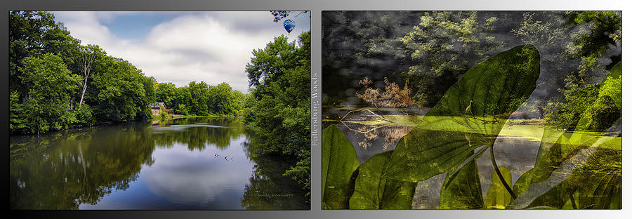 Nature Center 02 Looking For Food Merged Fullersburg Woods 2 Panel Photograph by Thomas Woolworth