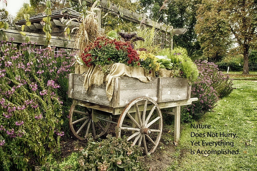 Nature Does Not Hurry Floral Garden Cart Photograph by Thomas Woolworth