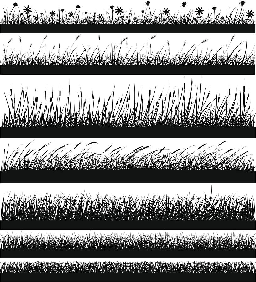 Nature Elements - Grass Drawing by Hypergon