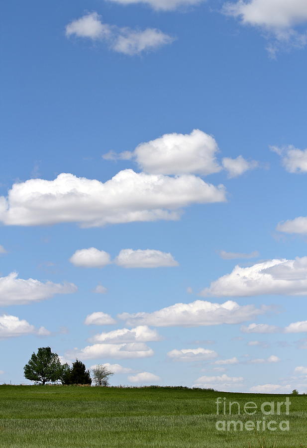 Nature in Kansas Photograph by Krista Wimmer - Fine Art America