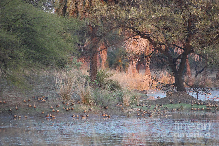 Nature in the Noon Photograph by Four Hands Art - Fine Art America