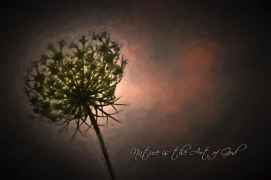 Flowers Still Life Photograph - Nature is Art of God by Daniel Martin