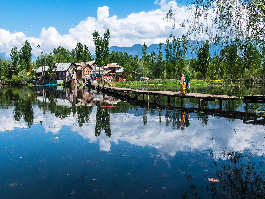 Nature lifestyle of Dal Lake Photograph by Runner Of Art