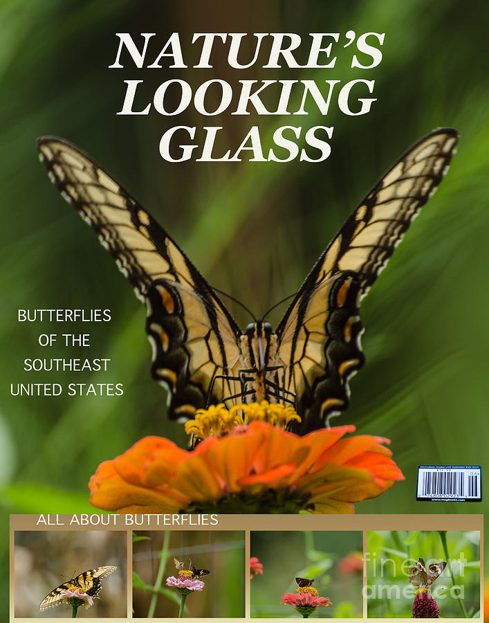 Typography Photograph - Nature Looking Glass by Donna Brown