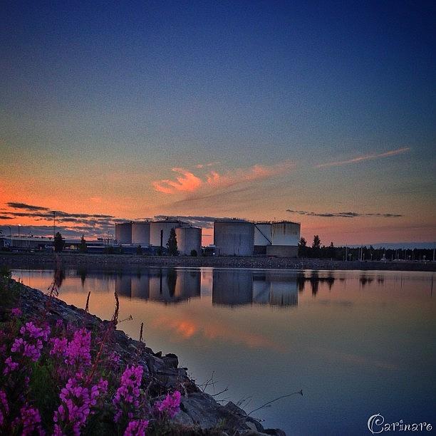 Nature Meets Industry At Umeå Harbour Photograph by Carina Ro