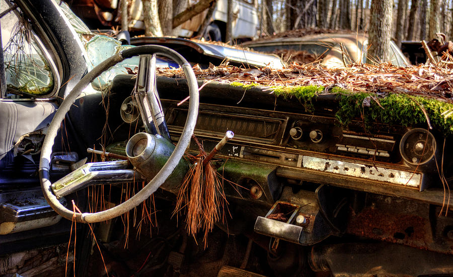 Cadillac Photograph - Nature Takes Over A Cadillac by Greg and Chrystal Mimbs
