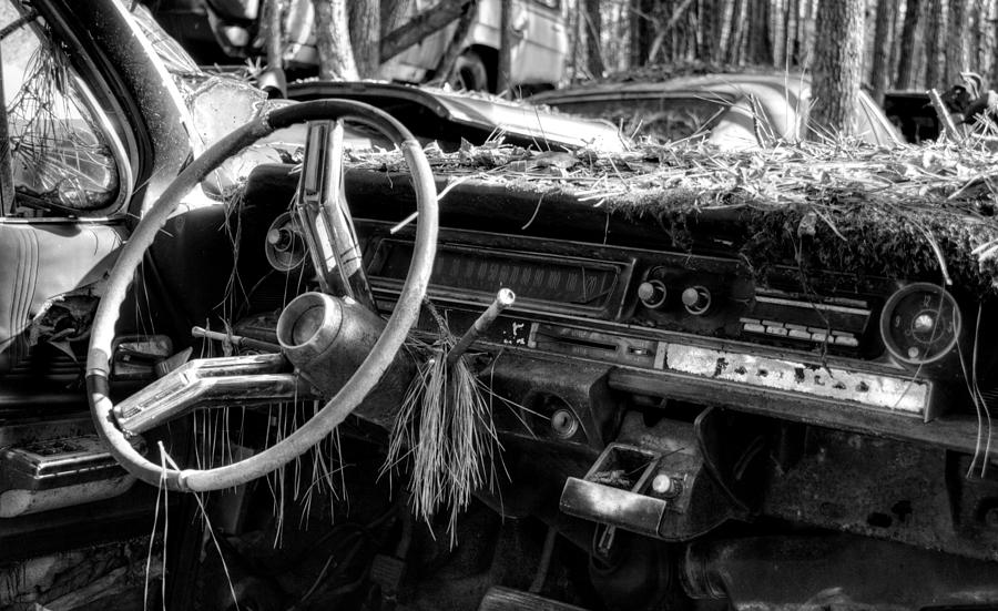 Nature Takes Over A Cadillac in Black and White Photograph by Greg and Chrystal Mimbs