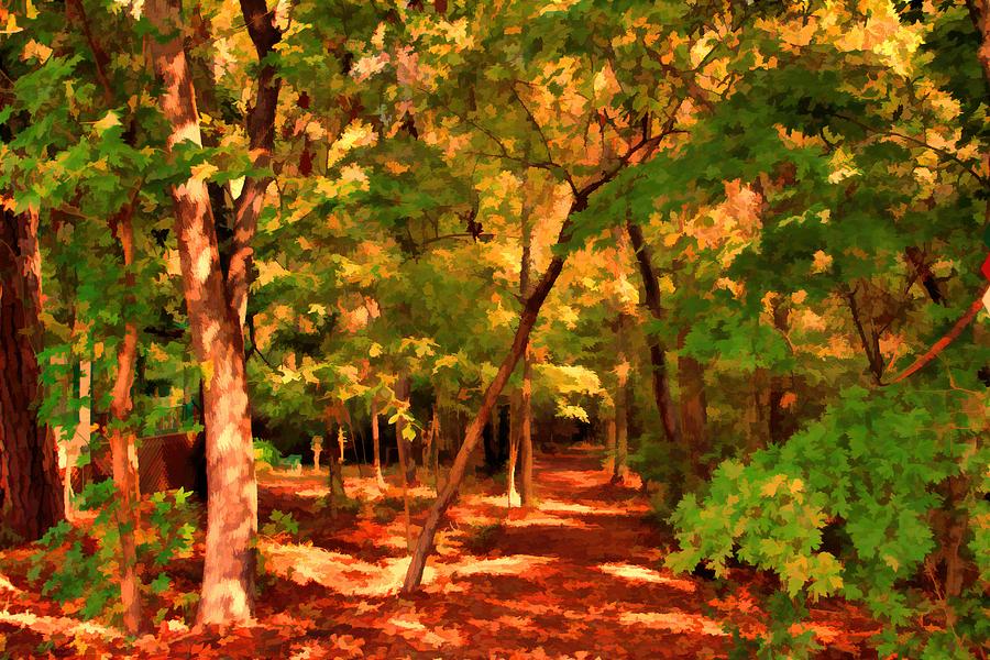 Nature Digital Art - Nature Trail by Audreen Gieger