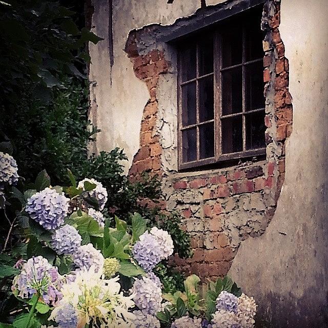 Nature Photograph - #nature #vintage #old #window #home by Carine Martch