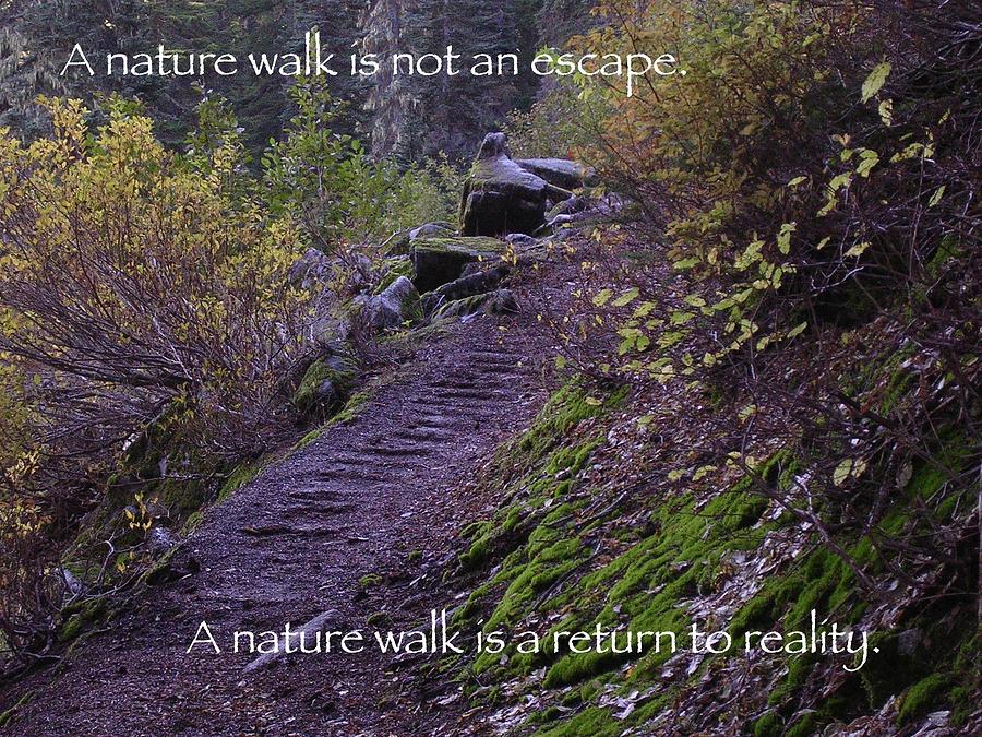 Merritt Lake Photograph - Nature Walk by Tom Trimbath Merritt Lake Photograph - Nature Walk by Tom Trimbath