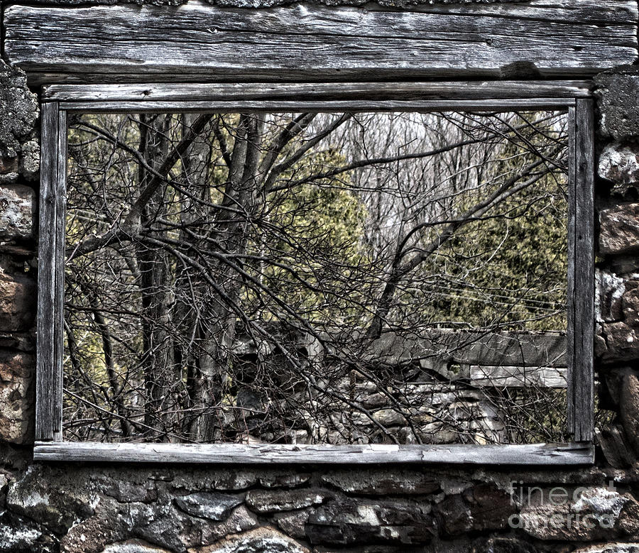 Nature Photograph - Nature Window by Miss Dawn