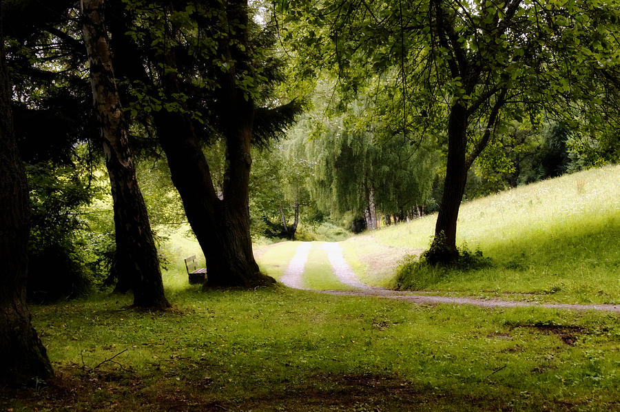 Nature Wonderland Photograph by Mountain Dreams - Fine Art America