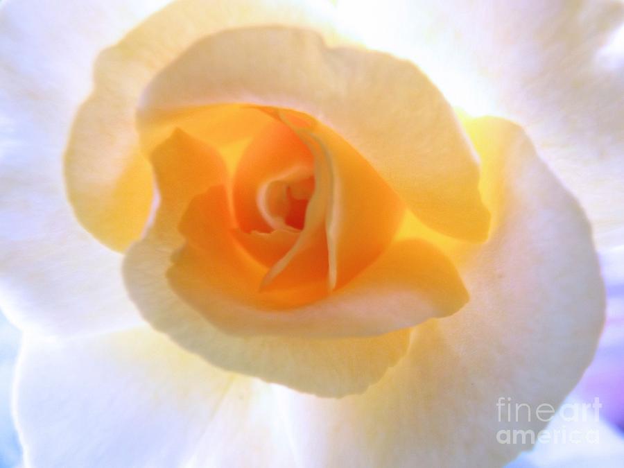 Spring Photograph - Natures Beauty by Robyn King