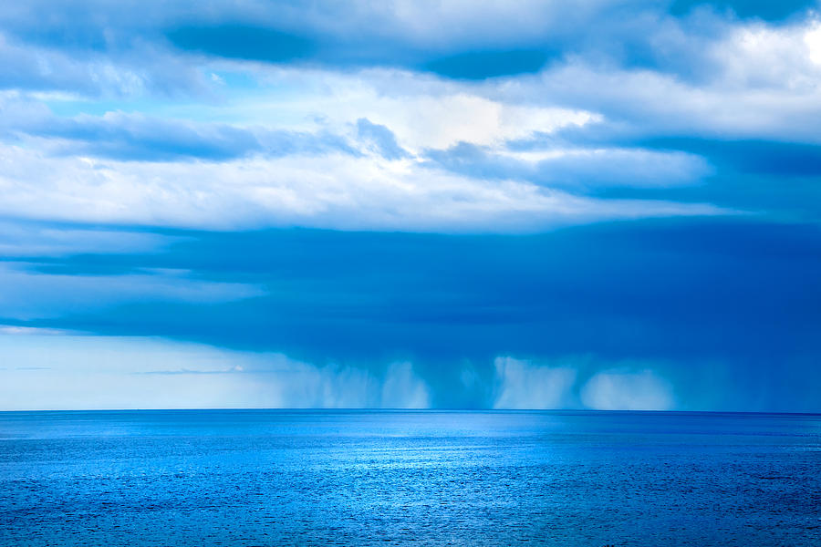 Natures Blues Photograph by Greg Fortier