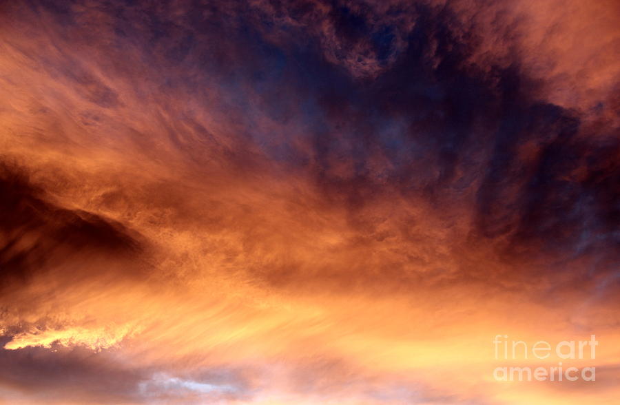 Sunset Photograph - Natures Canvas II by Krissy Katsimbras