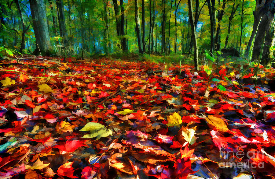 Natures Carpet In The Fall Photograph by Dan Friend