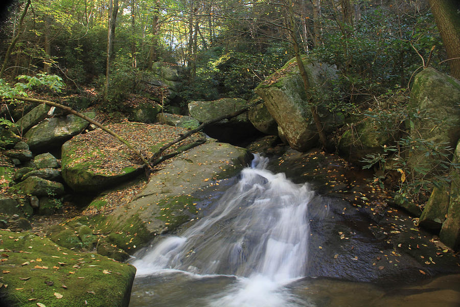 Nature's Doxology Photograph by John Roy - Fine Art America