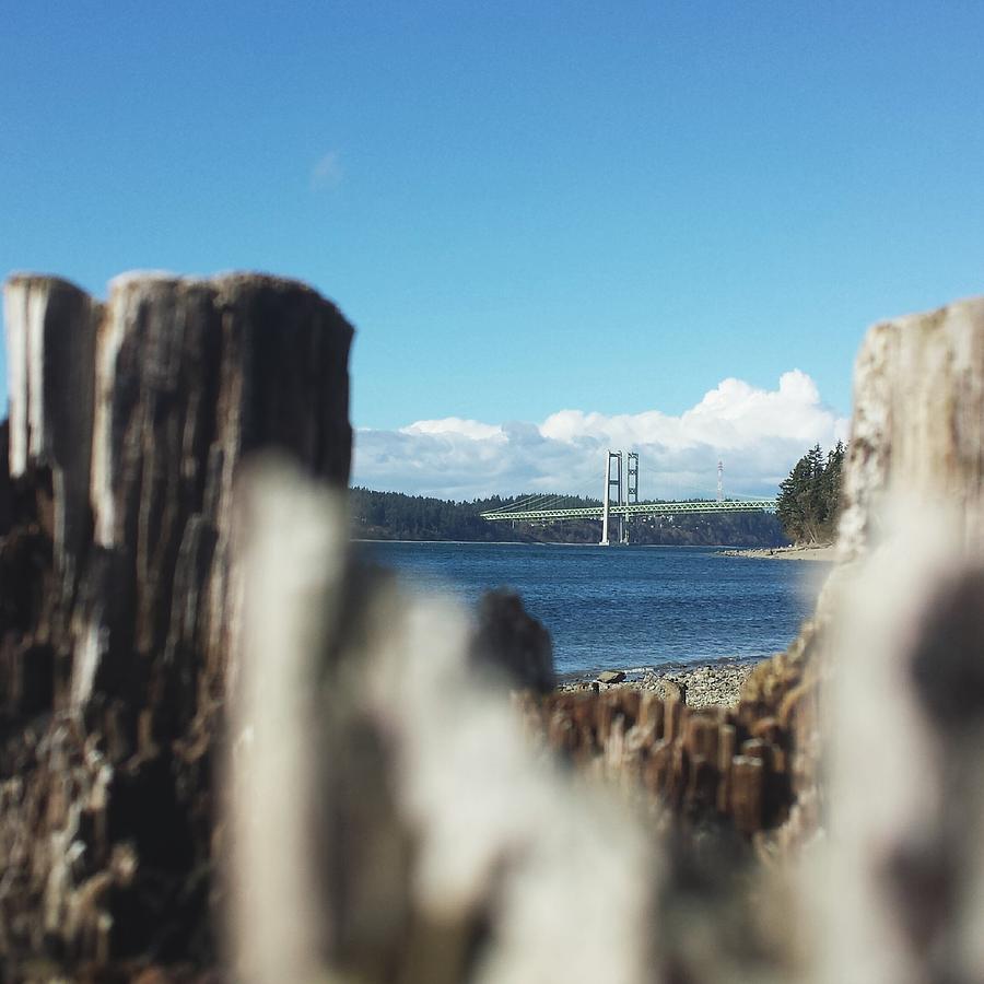 Tacoma Photograph - Natures Frame by Andrea Osborn Tacoma Photograph - Natures Frame by Andrea Osborn