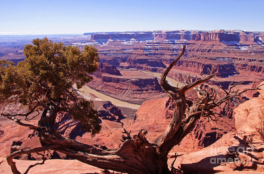 Natures Frame - Dead Horse Point Photograph by Bob and Nancy Kendrick