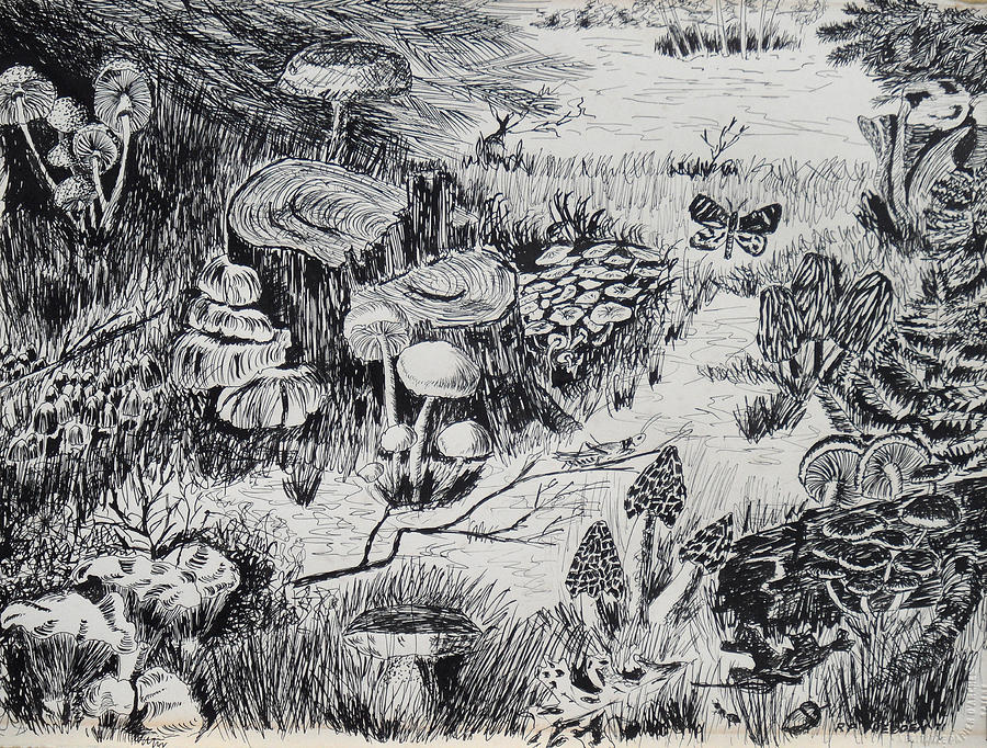 Ink Print 9x12 Titled Into my Garden Mind Ink Sketch