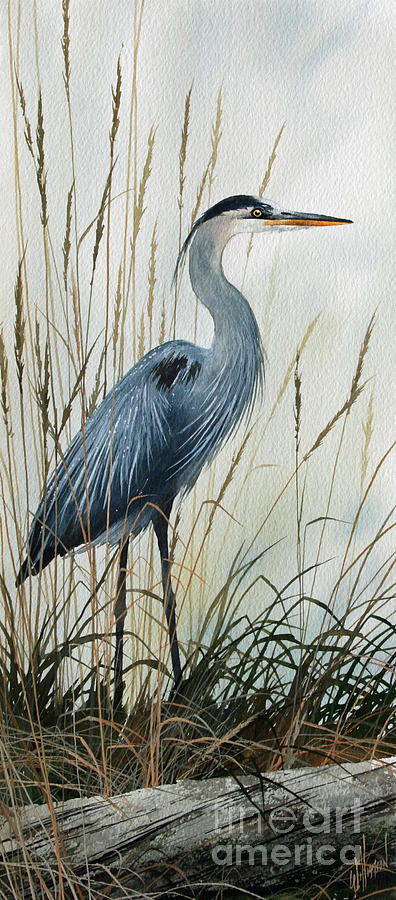 Nature Painting - Natures Gentle Stillness by James Williamson