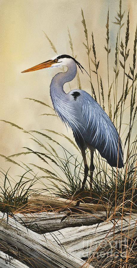 Heron Painting - Natures Grace by James Williamson