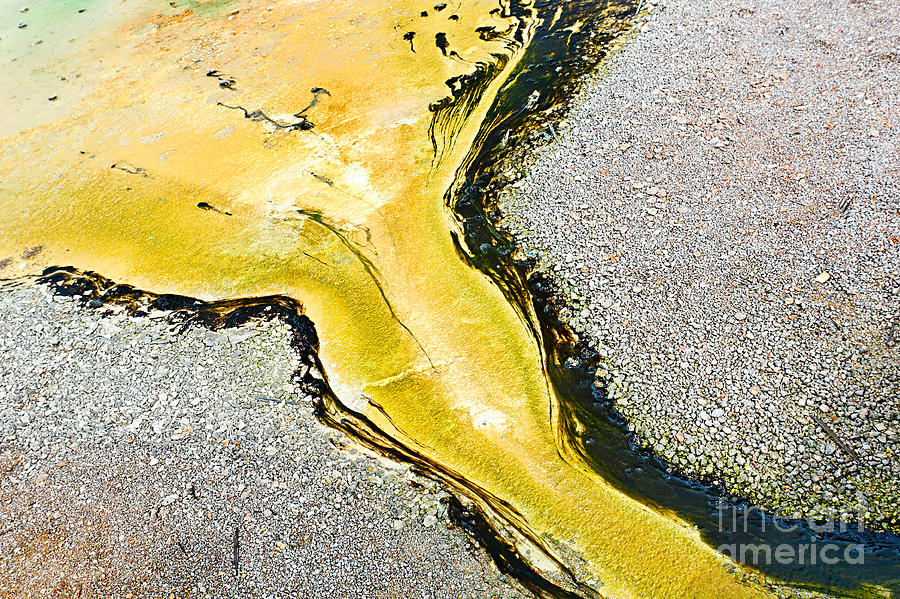 Yellowstone National Park Photograph - Natures Inkblot Test - Abstract runoff of a hot spring with algae and bacteria  by Jamie Pham