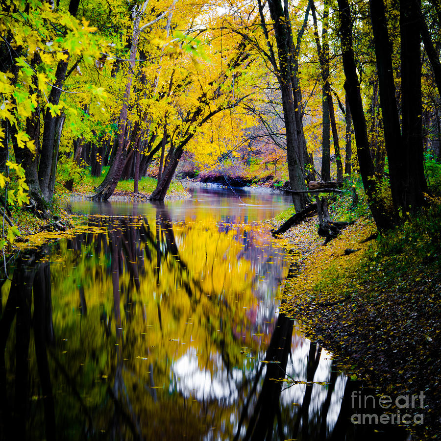 Natures Mirror Photograph by Michael Arend