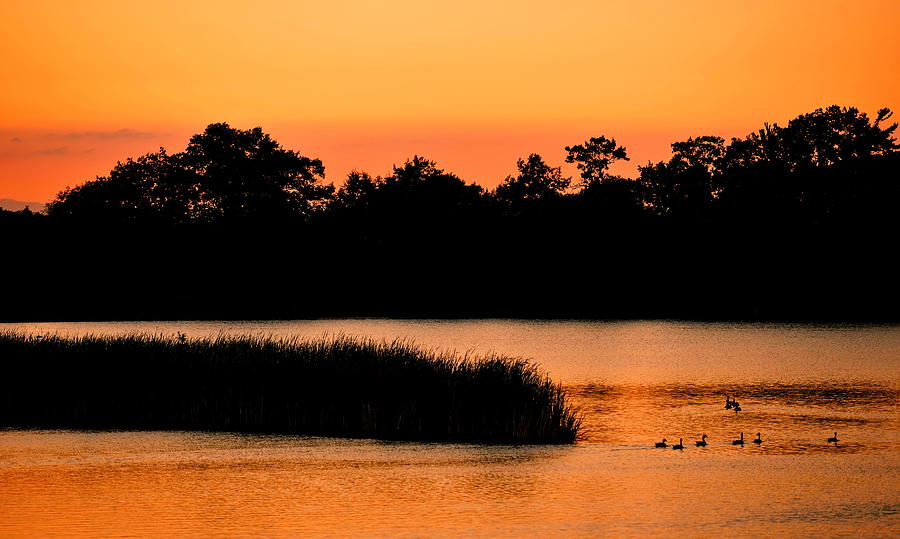 Sunset Photograph - Natures Offering by AZ Imaging