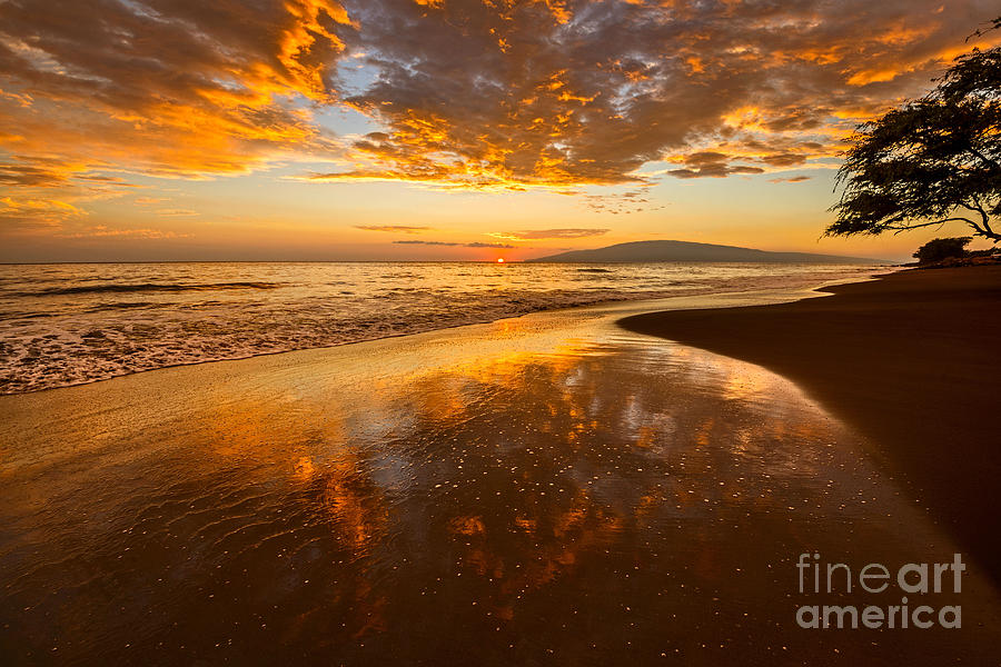 Sunset Photograph - Natures Painting by Jamie Pham
