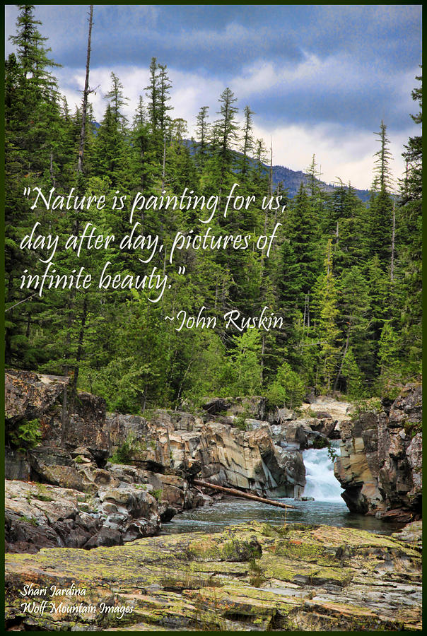 Natures Painting Photograph by Shari Jardina