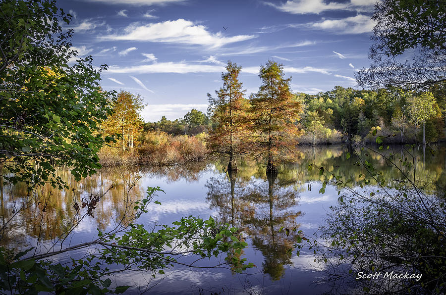 Natures Pallet Photograph by Scott MacKay - Fine Art America