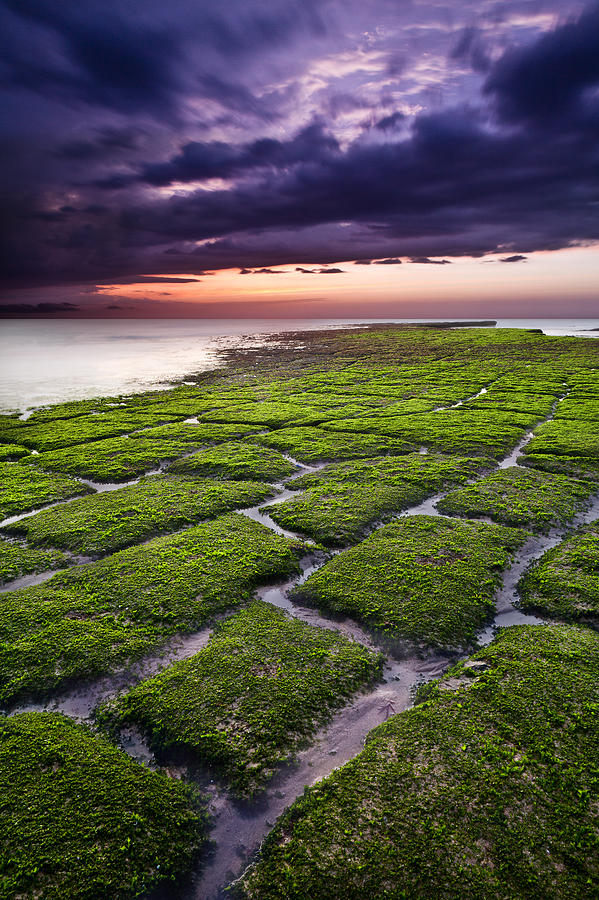 Natures promenade Photograph by Jorge Maia