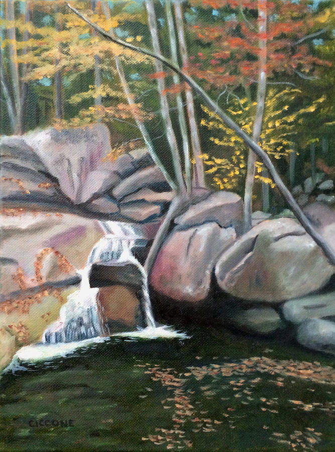 Natures Rock Garden Painting by Jill Ciccone Pike