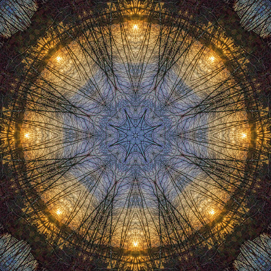 Natures Skylight Mandala 1 Photograph by Beth Venner