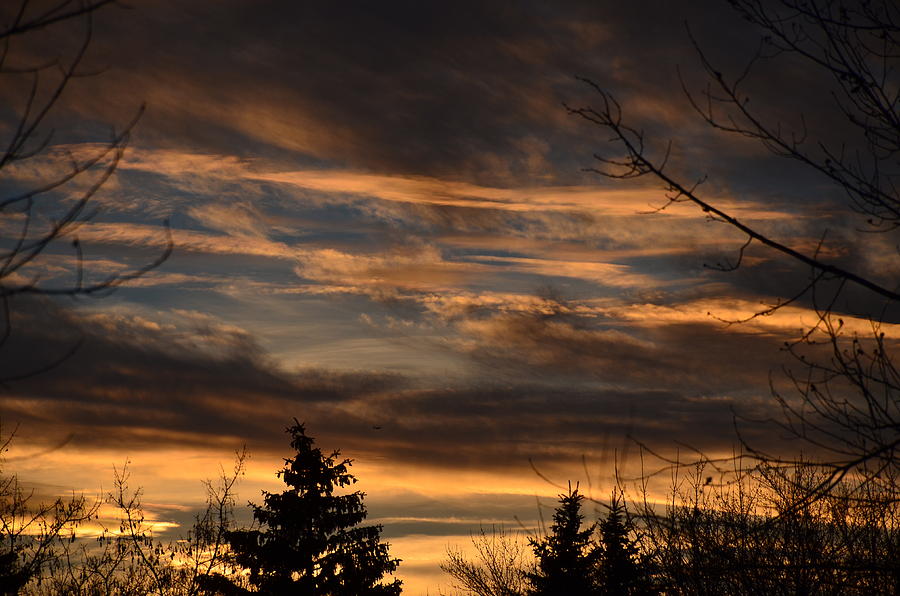 Sunset Photograph - Natures Sunset by Nikki Watson    McInnes