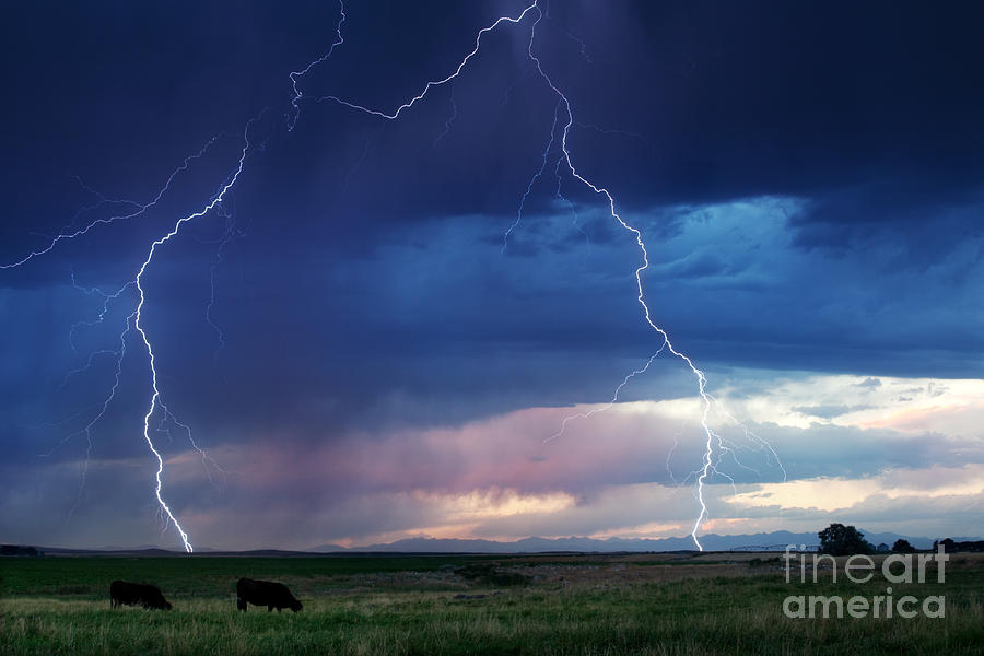 Natures Thunder Photograph by Cindy Singleton