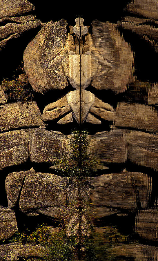 Natures Totem Photograph by Paul W Faust -  Impressions of Light