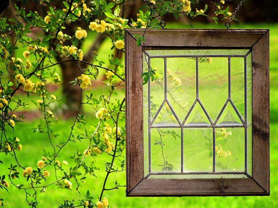 Natures Window Photograph