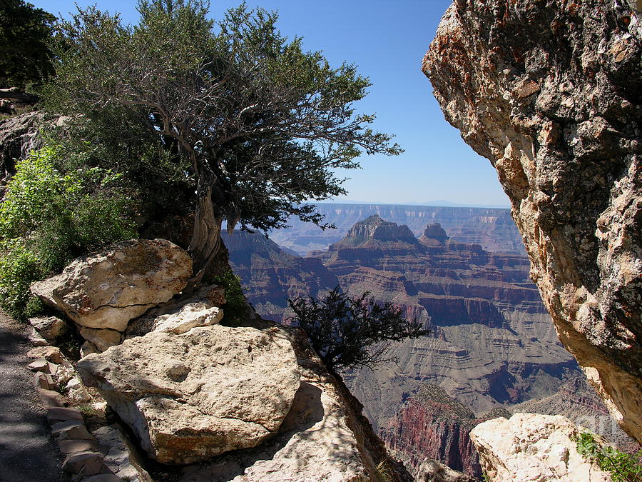 Grand Canyon National Park Photograph - Natures Window by Mel Steinhauer
