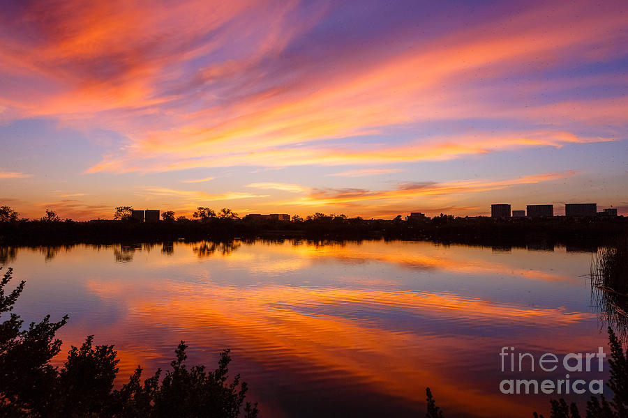 Nature S Wish Of A Good Evening Photograph By Carl Jackson