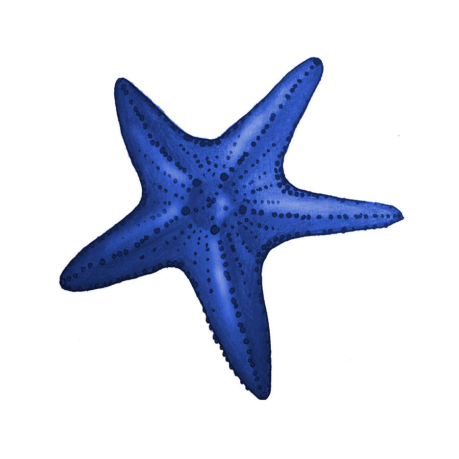Fish Digital Art - Nautical Blue Starfish by Michelle Eshleman