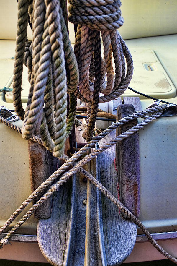 Nautical ropes Photograph by Hugh Smith