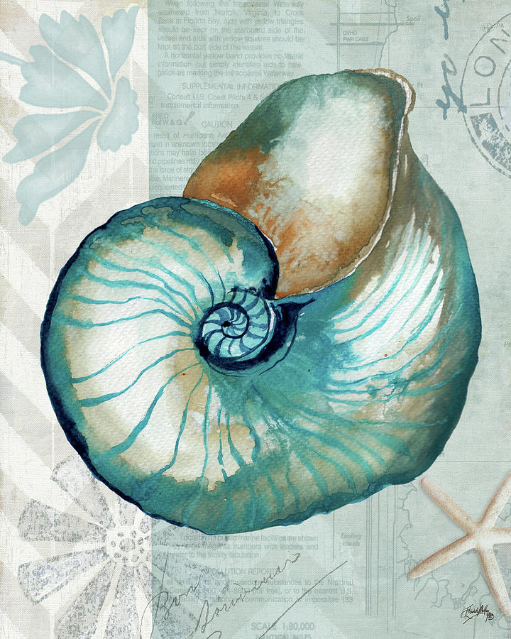 Shell Painting - Nautical World IIi by Elizabeth Medley
