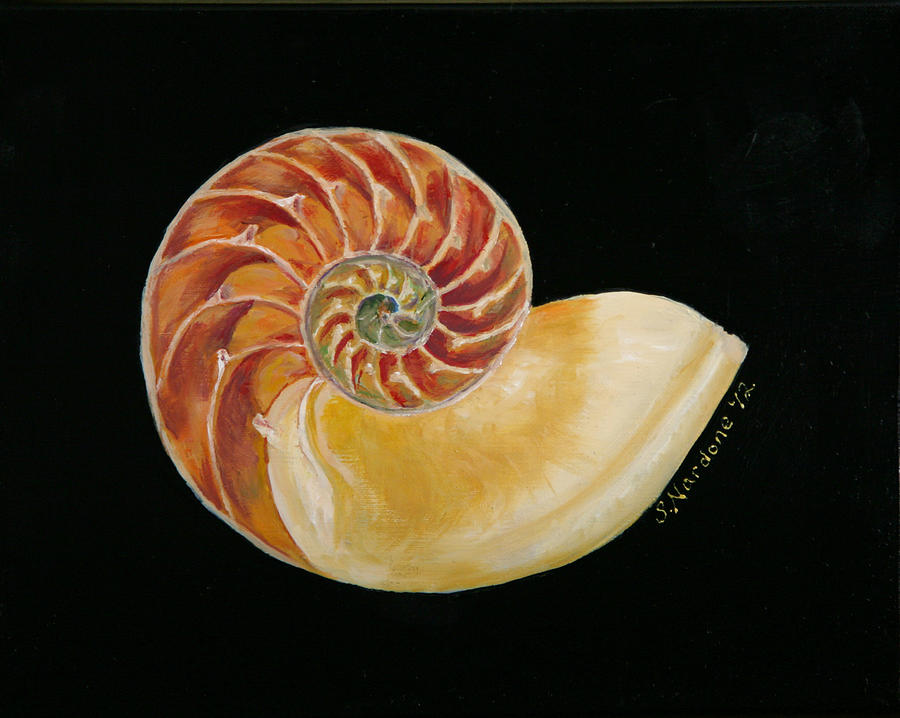 Nautilus Shell Painting by Sandra Nardone