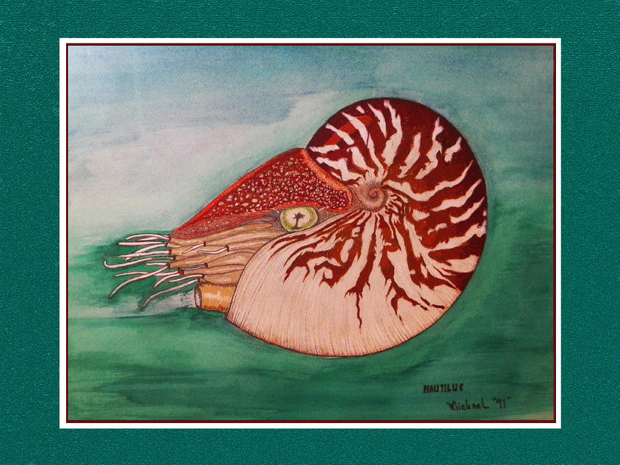 Shell Painting - Nautilus in its Shell Swimming by Michael Shone SR