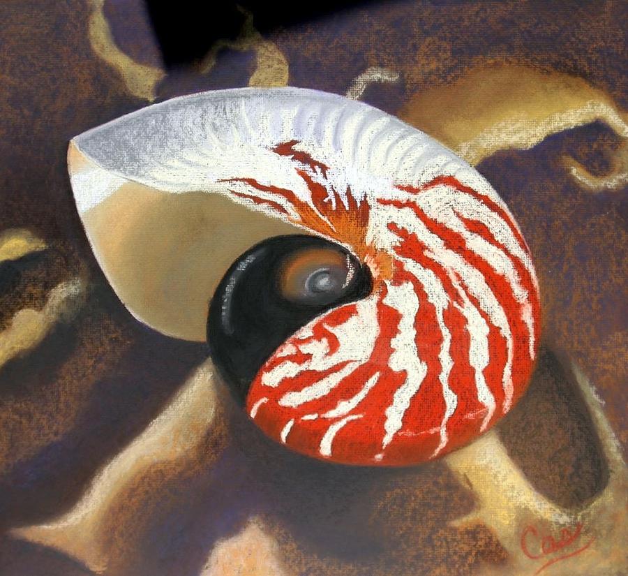 Animal Painting - Nautilus  by Karen Casciani