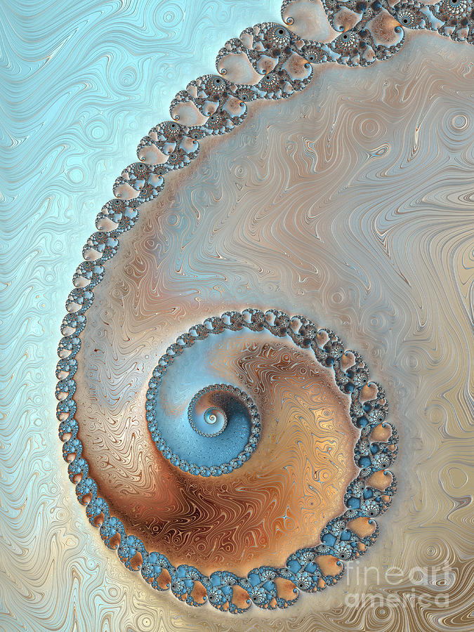 Abstract Photograph - Nautilus - Sand And Sea  by Heidi Smith