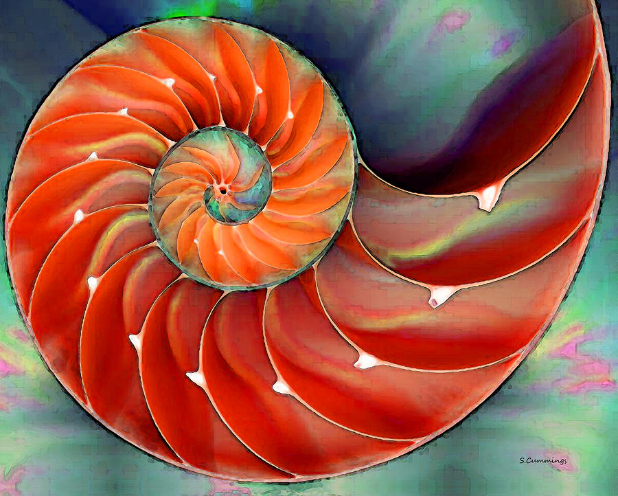 Shell Painting - Nautilus Shell Art - Natures Perfection 2 - By Sharon Cummings by Sharon Cummings